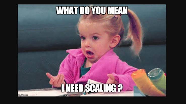 A confused kid meme with open hands and the caption "what do you mean I need scaling?"